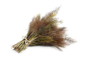 Packet of biologisch Bronze Fennel gentechnikfrei Samen