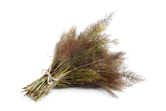 Packet of biologisch Bronze Fennel gentechnikfrei Samen
