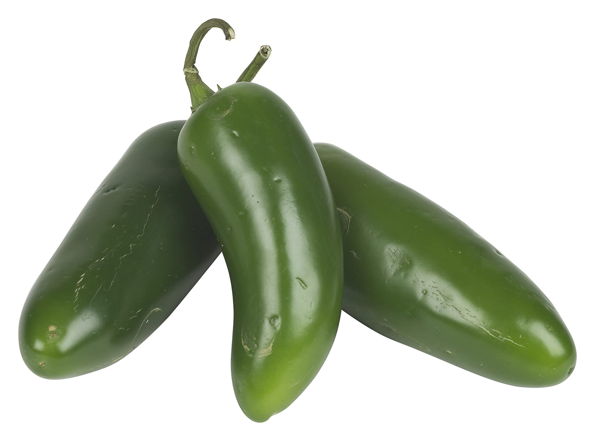 Organic jalapeno pepper samen für home garten aussaat