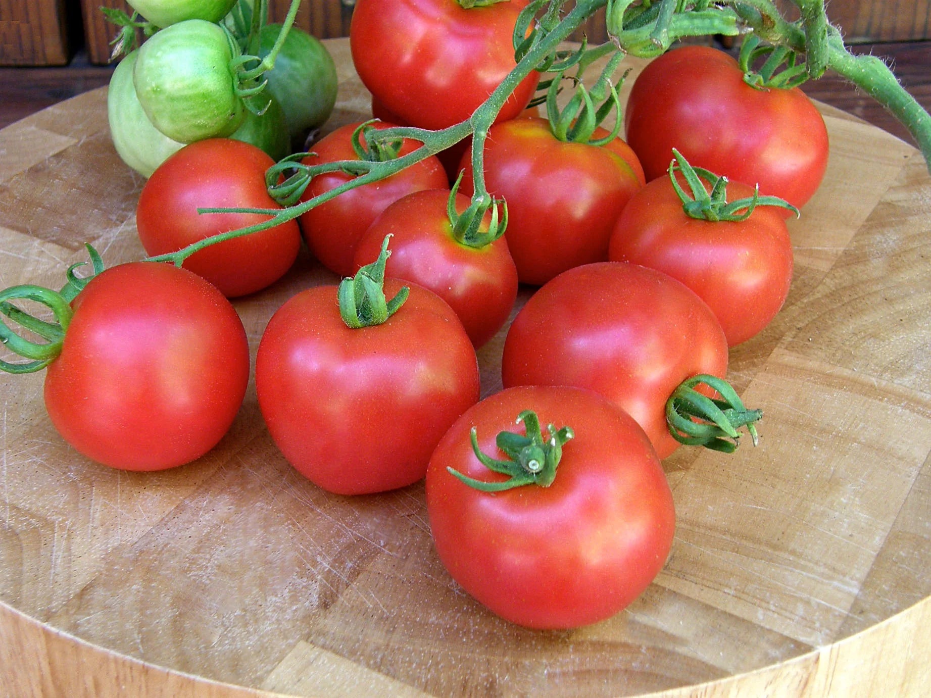 Bella Rosa Vffna Tomate Solanum lycopersicum Samen zum Pflanzen in Gemüse Patch