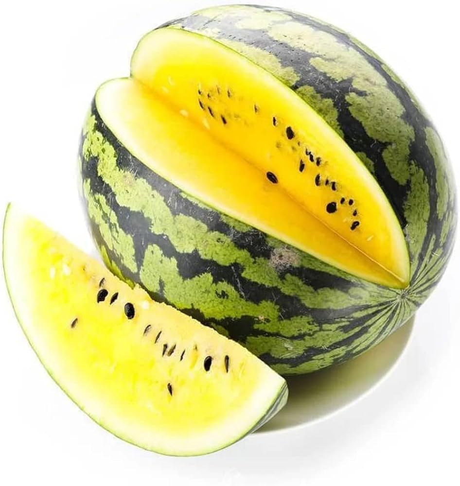 Organic gelbe watermelon pflanzen gezogen aus samen