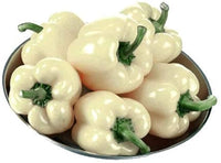 Capsicum annuum pepper samen für aussaat