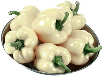 Capsicum annuum pepper samen für aussaat