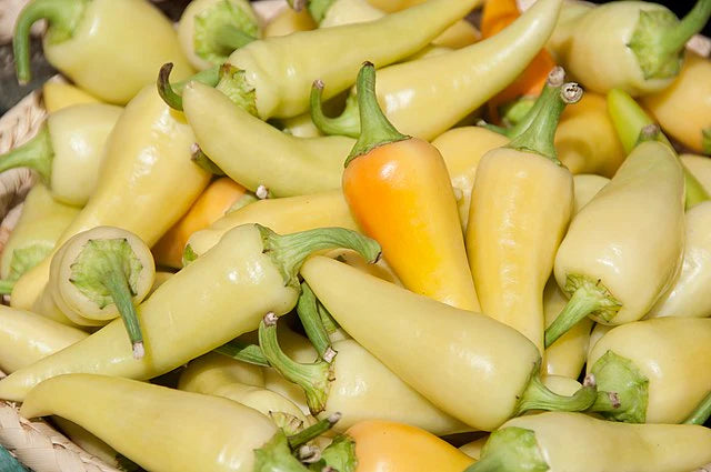 Ungarische Weisse Gemüsesamen: Premium Quality for Your Garden