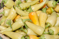 Ungarische Weisse Gemüsesamen: Premium Quality for Your Garden