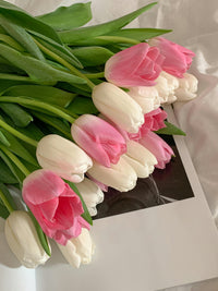 Weiß und Rosa Tulpe Blumensamen leuchtend Frühling Aussaat
