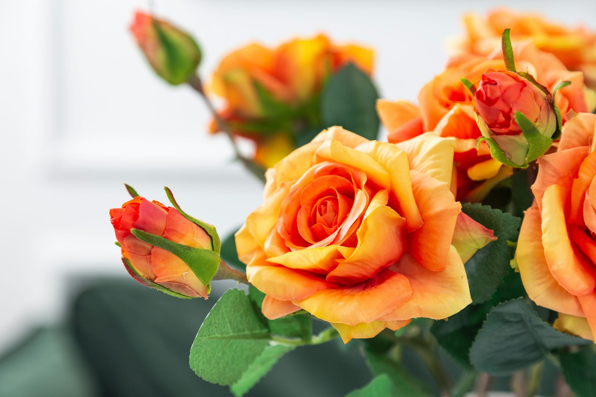Gelb Orange Rose Blumensamen zur Aussaat – ideal Rabatten – Traditionssorte & ohne Gentechnik Samen Hausgarten