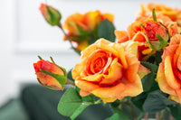 Gelb Orange Rose Blumensamen zur Aussaat – ideal Rabatten – Traditionssorte & ohne Gentechnik Samen Hausgarten
