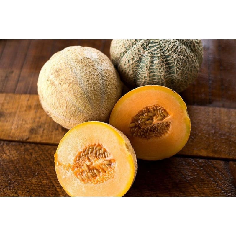 Premium halona hybrid melon samen für home gardens