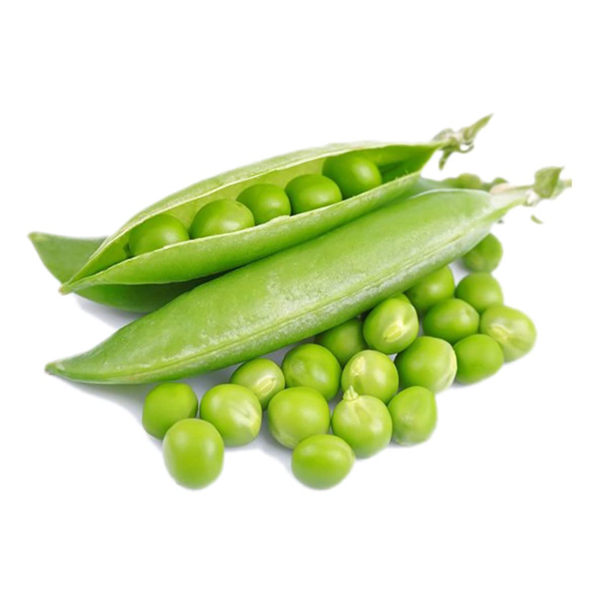 Premium nutritious pea samen für aussaat