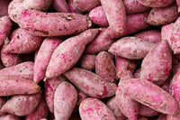 Lila Batatas Potato Samen zum Pflanzen  Premium Gemüsesamen