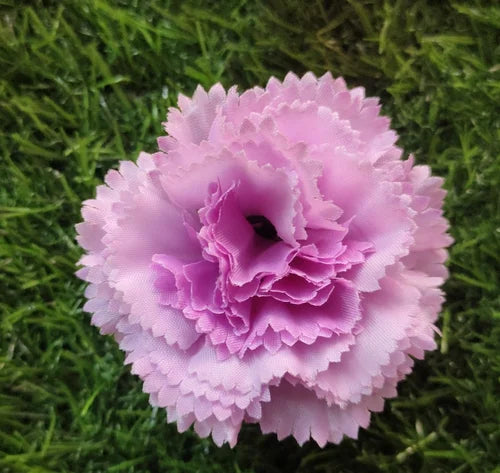 Lavendel Carnations Blumensamen zur Aussaat ideal Rabatten Traditionssorte & ohne Gentechnik Samen Hausgarten
