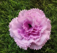 Lavendel Carnations Blumensamen zur Aussaat ideal Rabatten Traditionssorte & ohne Gentechnik Samen Hausgarten