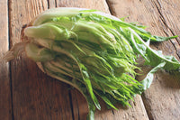 Puntarelle Blumensamen zur Aussaat leuchtend Traditionssorte & ohne Gentechnik Samen Hausgarten