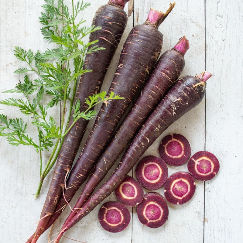 Non-gmo lila carrot samen für aussaat