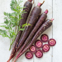 Non-gmo lila carrot samen für aussaat