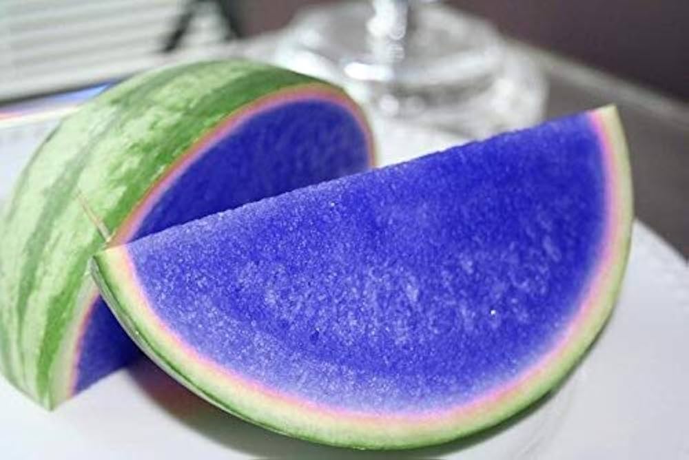Rare lila flesh watermelon samen für aussaat