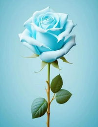 Rare sky blau rose petals in full bloom