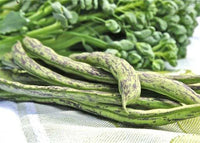 Green Schwarz Rattlesnake Bean Samen zum Pflanzen