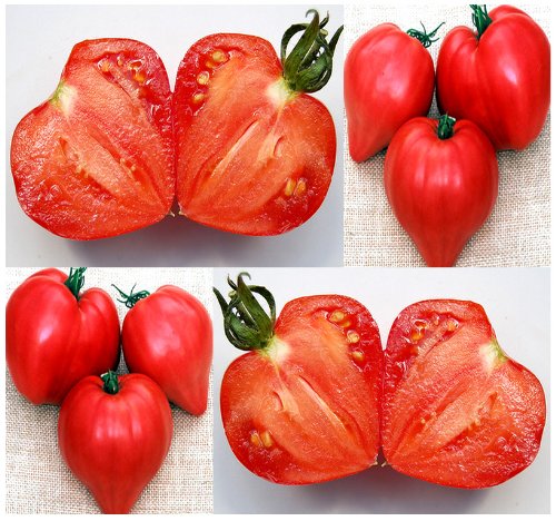 Red heart tomato samen main image with heart-shaped tomatoes