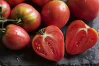 Red heart tomato samen pflanze growth showing vigorous vines