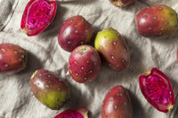 Rot prickly pear cactus wachsend in garten