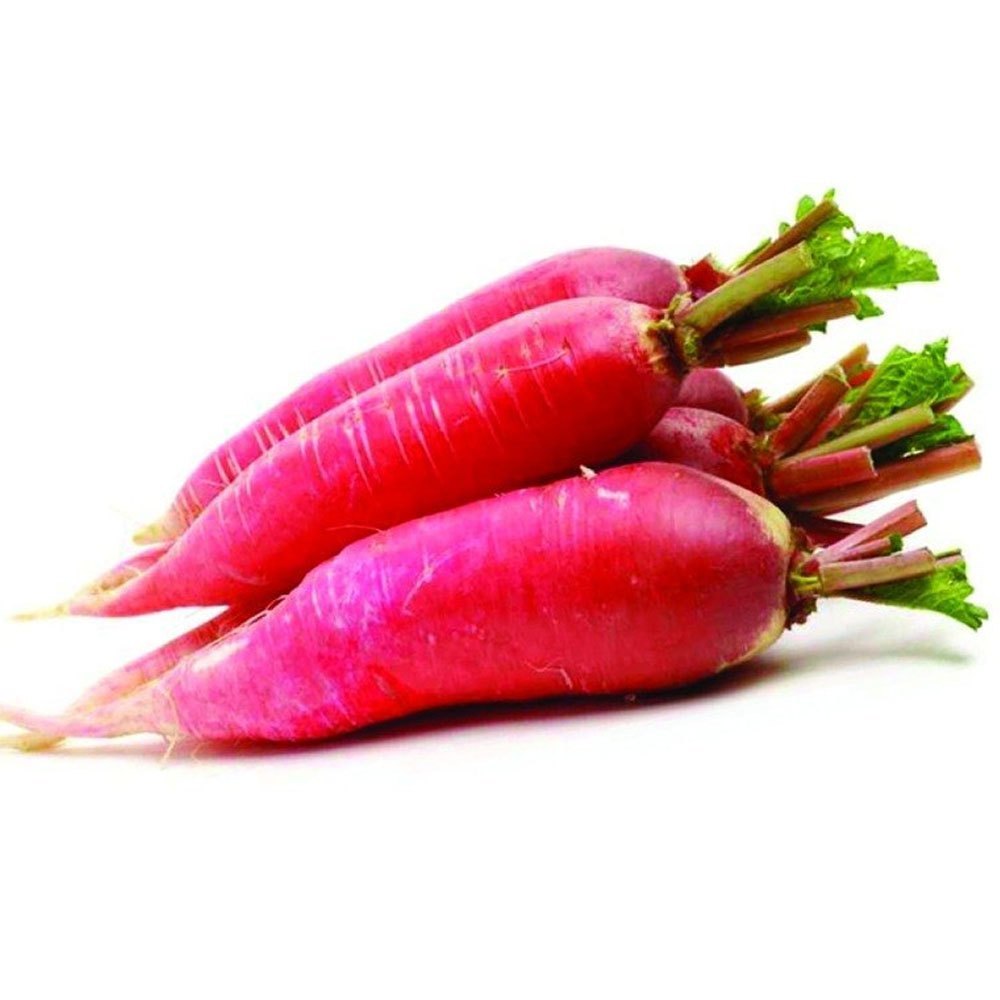 Healthy red radish pflanzen wachsend in full sun