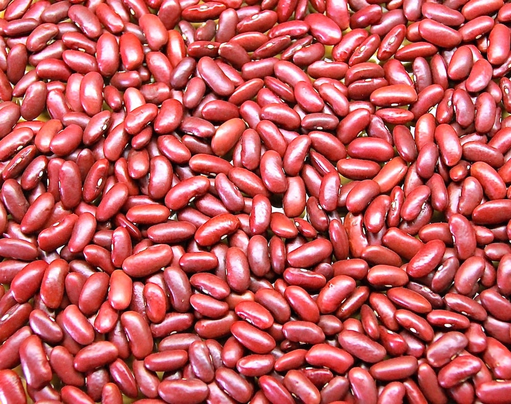 Red speckled bean samen ideal für backyard gardens