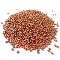 China Rose Rettichsamen Samen Spicy – Flavorful Radishes