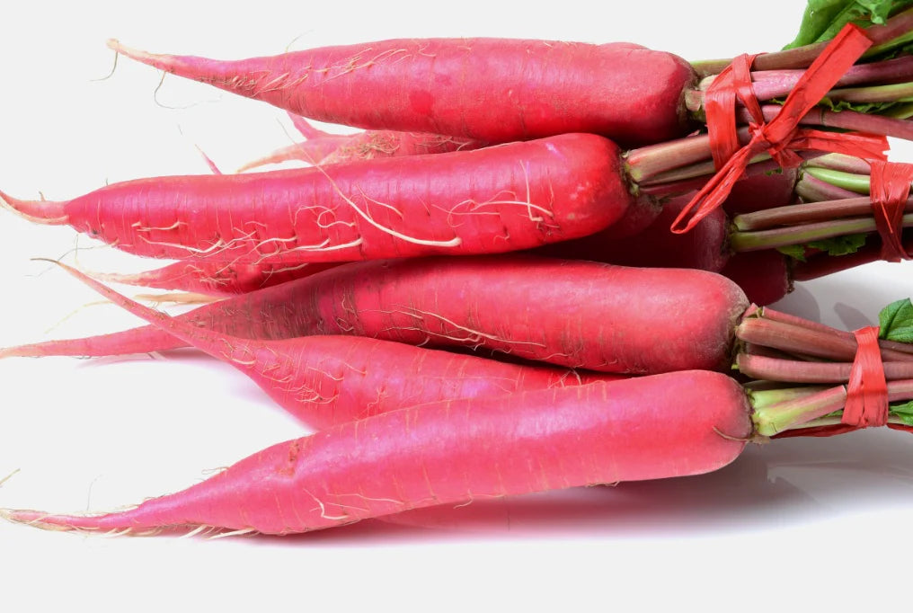 Rot Carrot Gemüse Samen zum Pflanzen
