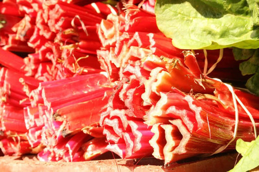 Packet of biologisch Redventure Celery Samen