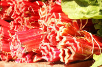 Packet of biologisch Redventure Celery Samen