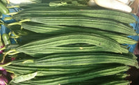 Ridge gourd samen suitable für home gardening