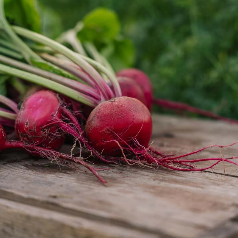Semi di barbabietola rossa da piantare - Coltiva deliziosi ortaggi