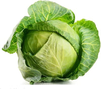 Brassica oleracea russian cabbage samen für aussaat in gemüse patch and garten