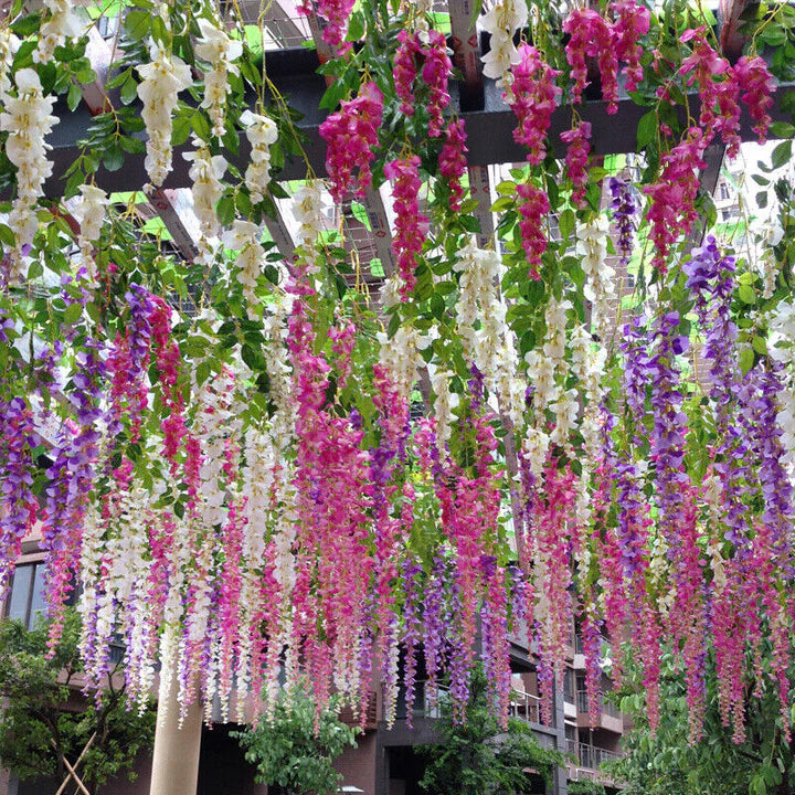 Mischung Blauregen Blumensamen zur Aussaat – Schnitt Blume beliebt – Traditionssorte & ohne Gentechnik Samen Hausgarten