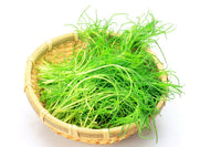 Packet of Saltwort Okahijiki Japanese leaf vegetable Samen