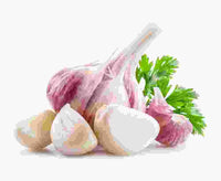 Lila & Weiß Knoblauch Samen zum Pflanzen