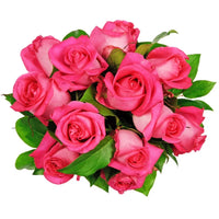 Soft rosa rose blume samen for anpflanzung
