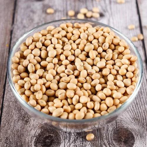 Braun Edible Soybean Samen - 1 Planting Samen
