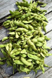 Soybean pflanzen wachsend in gemüse patch