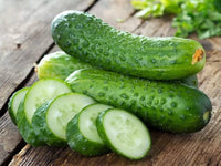 Crisp cucumbers gezogen aus spacemaster samen