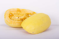 Spaghetti squash pflanzen wachsend in garten