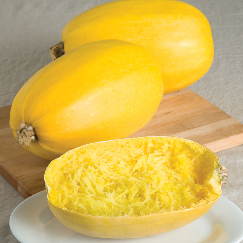 High-yield gelbe spaghetti squash samen für aussaat