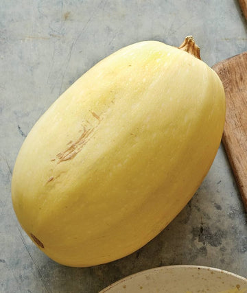 Spaghetti squash samen für home garten aussaat