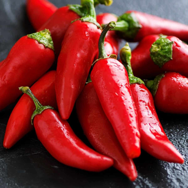 Spicy red pepper pflanzen thriving in a garten bed
