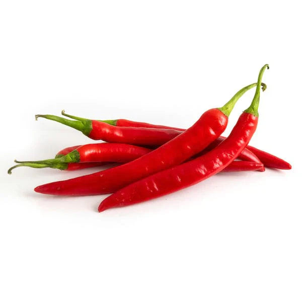 Non-gmo spicy red pepper samen für aussaat