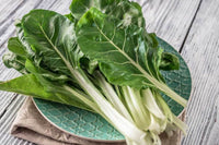 Green Chard Gemüsesamen  Perfect for Home Gardening