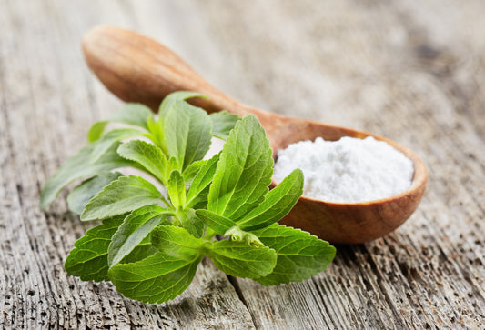 Stevia Rebaudiana Sweetleaf gentechnikfrei Samen for Aussaat