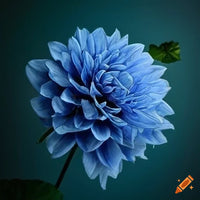 Summer garten dahlia samen